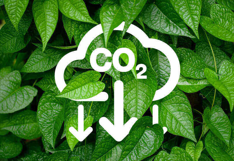 Reducing carbon emissions is the end goal