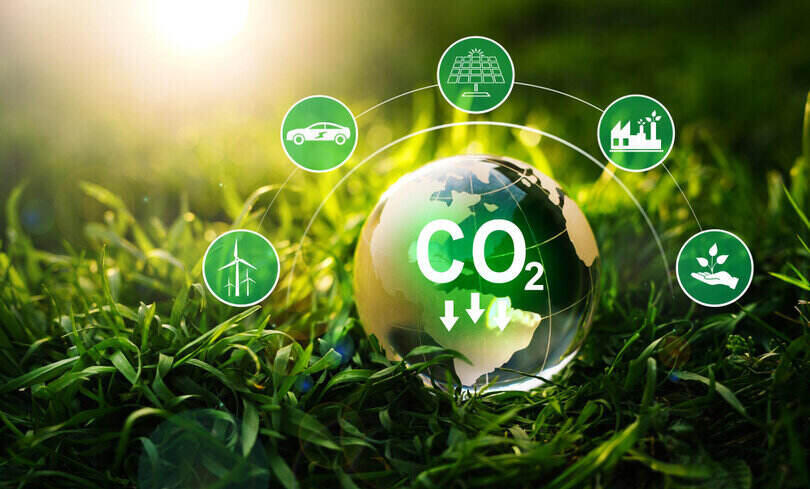 Start your carbon offsetting journey with CarbonNeutral