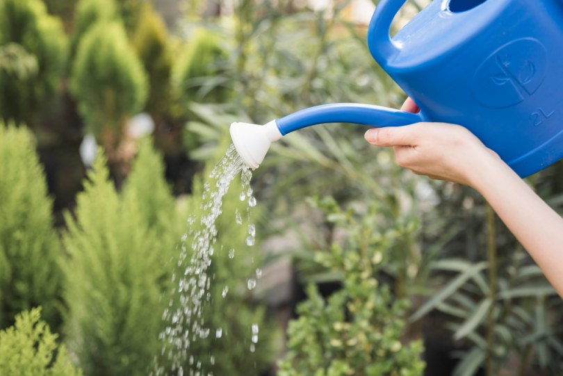 Use less water when gardening