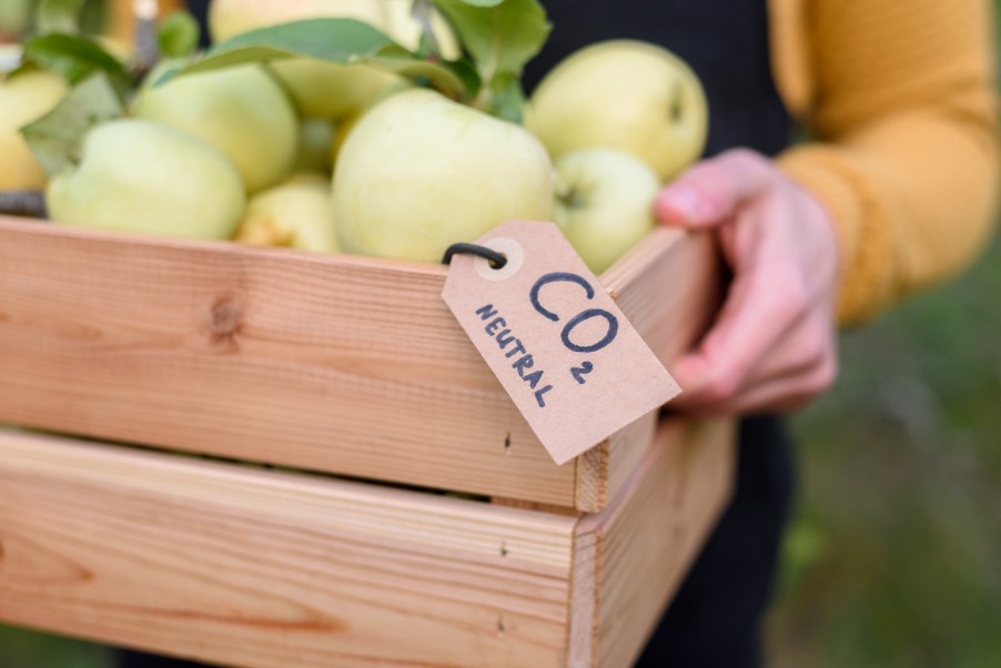 Local Apples With Carbon Label