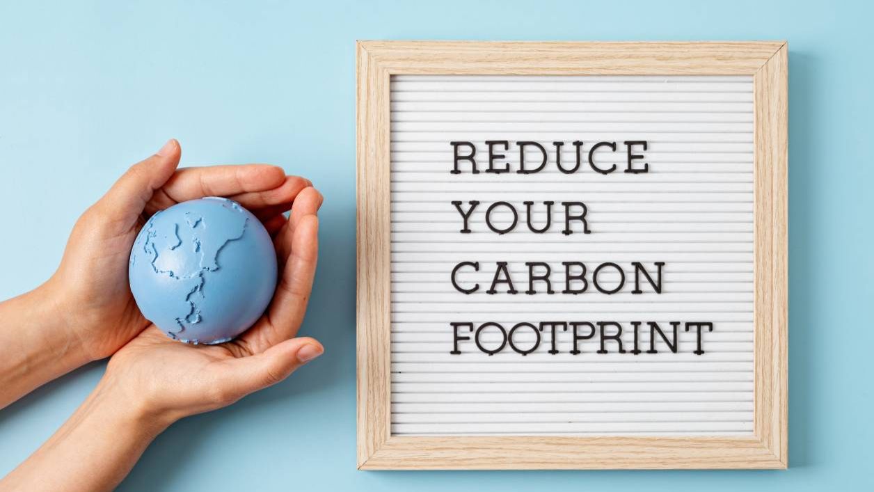 9 Tips On How To Reduce Carbon Footprint As A Student